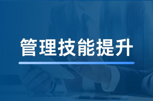 企业管理技能